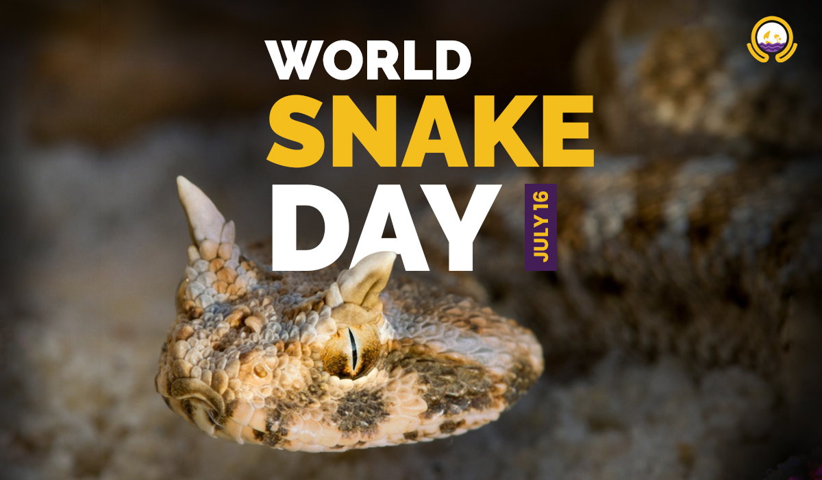The Snakes Of Qatar: World Snake Day